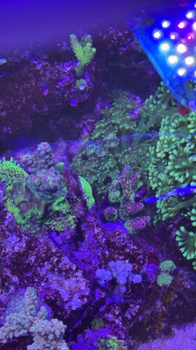 IMG_0870.jpeg