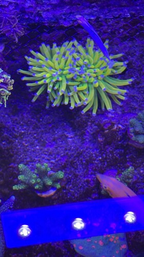 IMG_0868.jpeg