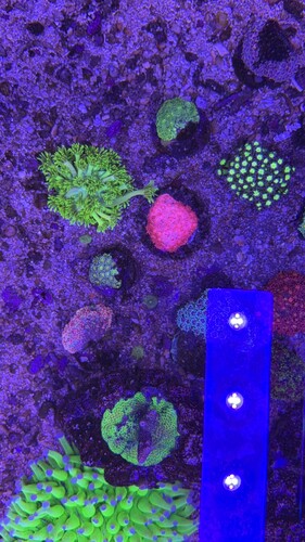 IMG_0864.jpeg
