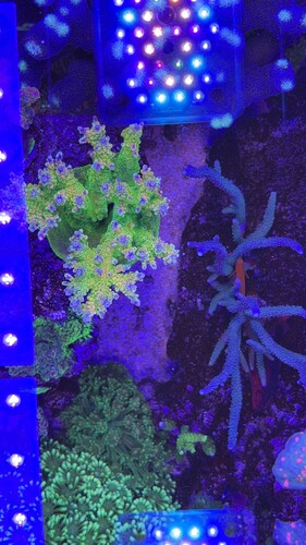 IMG_0854.jpeg