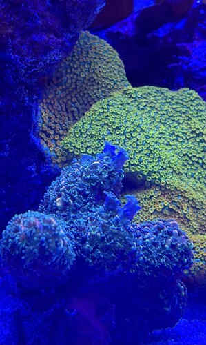 IMG_0715.jpeg