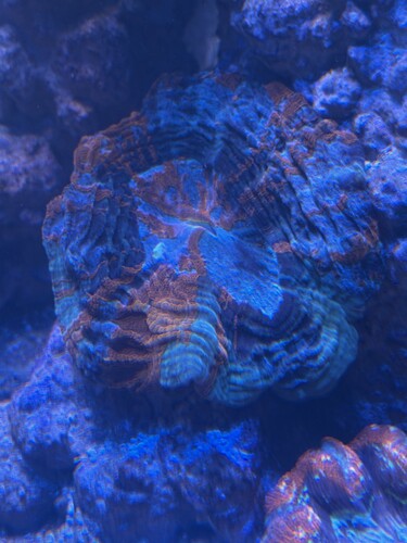IMG_5700.jpeg