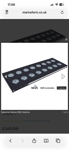 IMG_9631.png