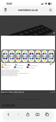 IMG_9634.png