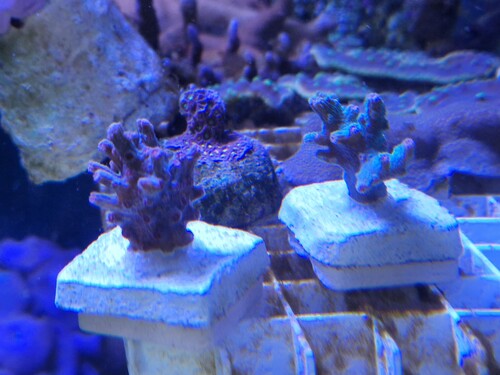 20260221_144744.jpg