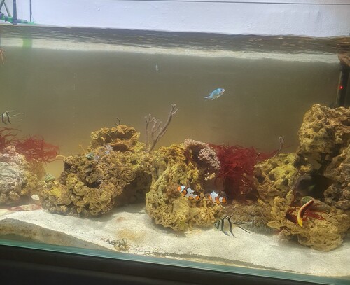 20260224_171557.jpg