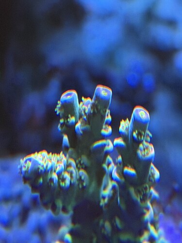 IMG_0817.jpeg