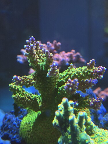 IMG_0819.jpeg