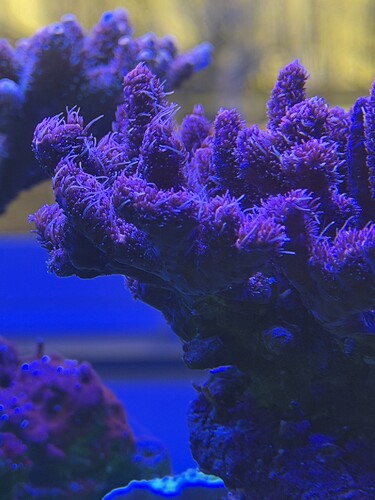 IMG_0835.jpeg