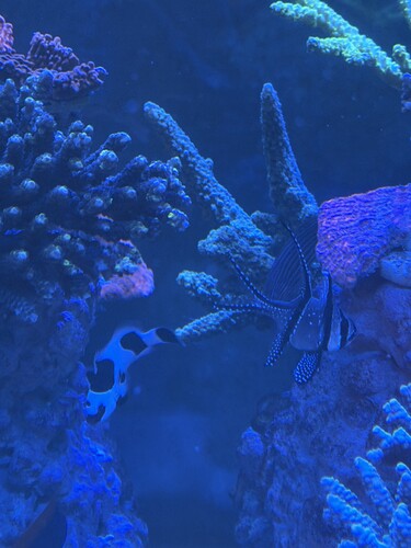 IMG_5758.jpeg