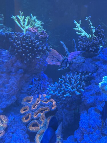 IMG_5757.jpeg