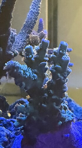 IMG_0843.jpeg
