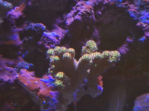 20260203_215441.jpg