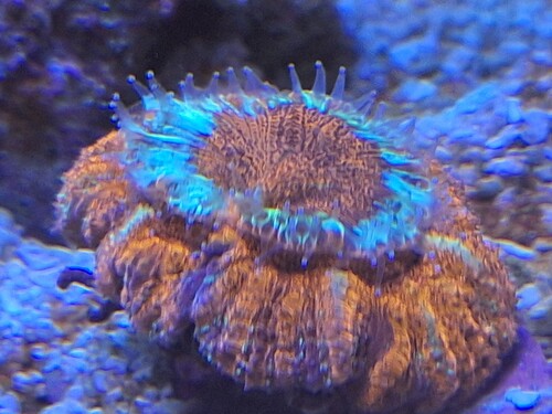 20251128_192507.jpg