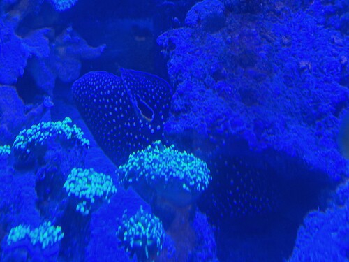 20260315_203712.jpg