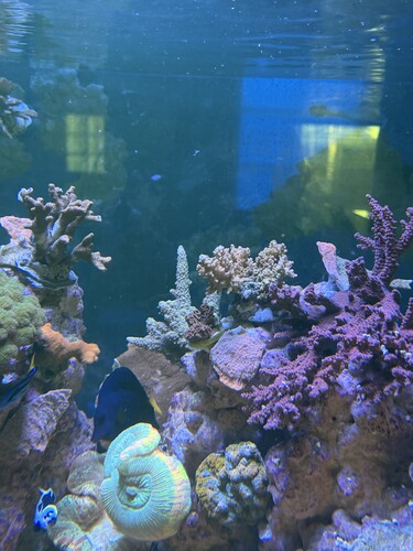IMG_5940.jpeg