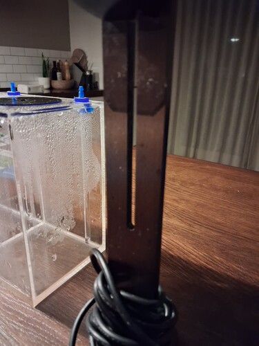 20260319_214439.jpg