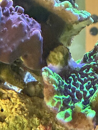 IMG_1025.jpeg