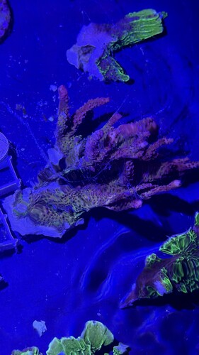 IMG_1031.jpeg