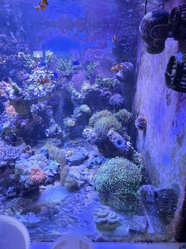20260321_121647.jpg