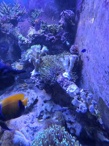 20260321_150220.jpg