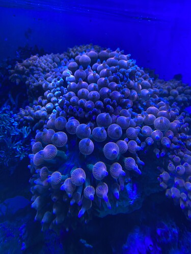 IMG_6157.jpeg