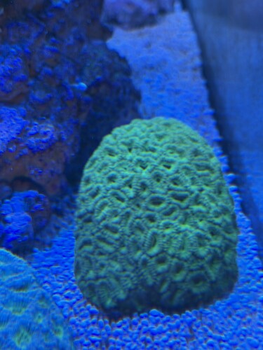 IMG_6022.jpeg