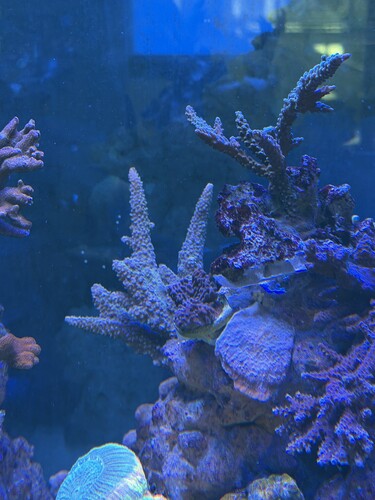 IMG_6017.jpeg