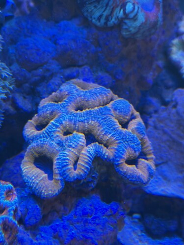 IMG_6013.jpeg