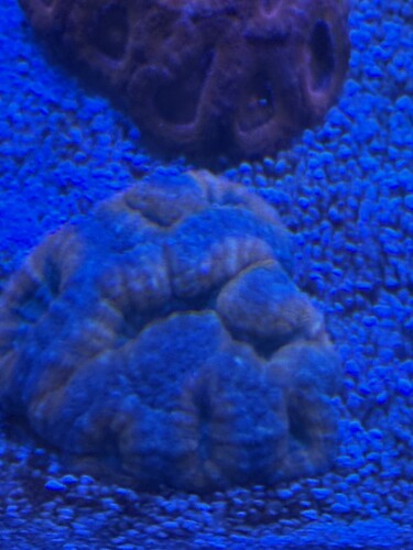 IMG_6012.jpeg