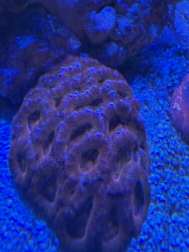 IMG_6011.jpeg