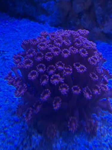 IMG_6007.jpeg