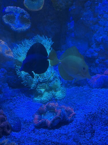 IMG_6031.jpeg
