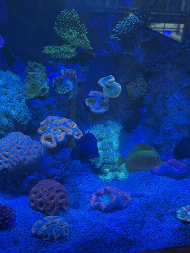 IMG_6032.jpeg