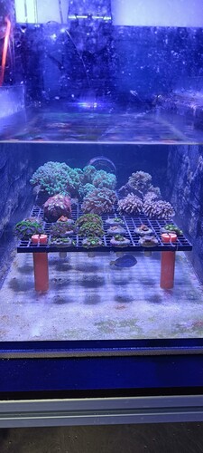 1000016433.jpg