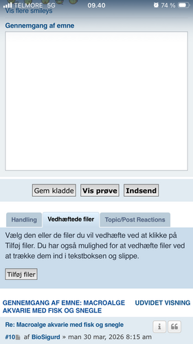 IMG_3771.png
