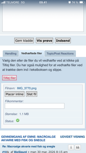IMG_3772.png