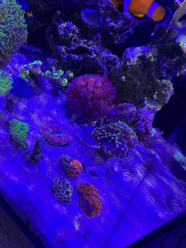 IMG_0174.jpeg