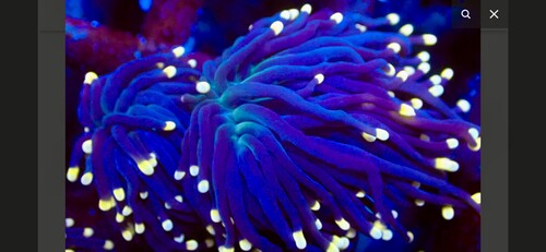 IMG_4247.jpeg