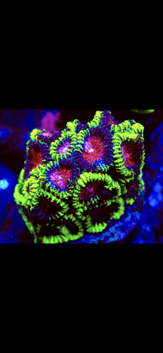 IMG_4256.png