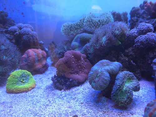 20260405_140208.jpg