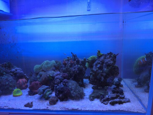 20260405_140227.jpg