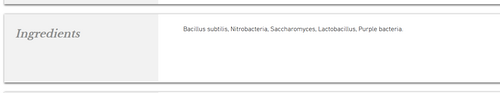 bacteria.png
