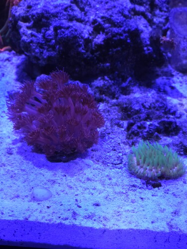 20260407_222600.jpg