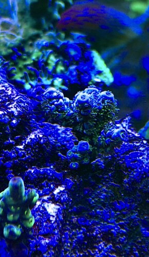 IMG_1376.jpeg