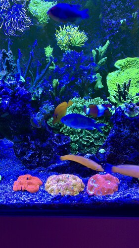 AquaCam_CFEAFB06.jpeg