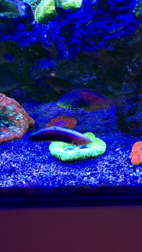AquaCam_25BCBF7C.jpeg