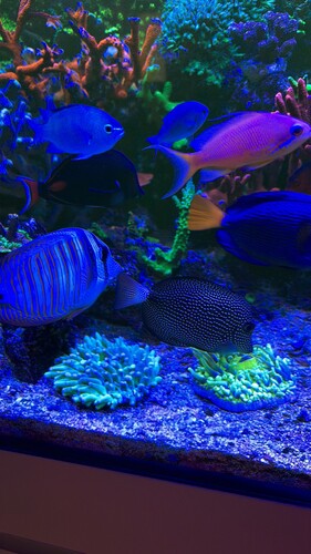 AquaCam_97DDA72E.jpeg