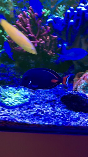 AquaCam_9552A34A.jpeg