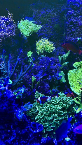 AquaCam_AA143AD5.jpeg